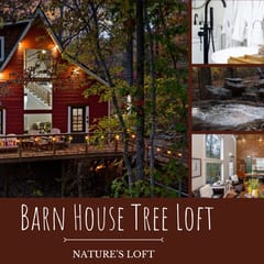 The Barn House