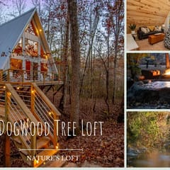 The Dogwood House