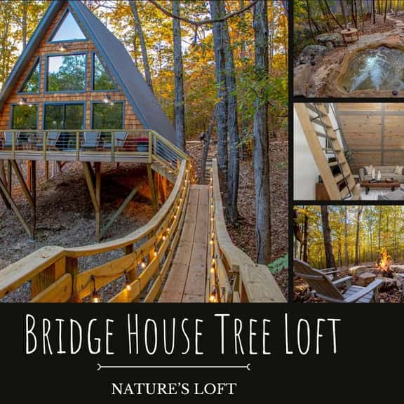 The Bridge House - Image 1