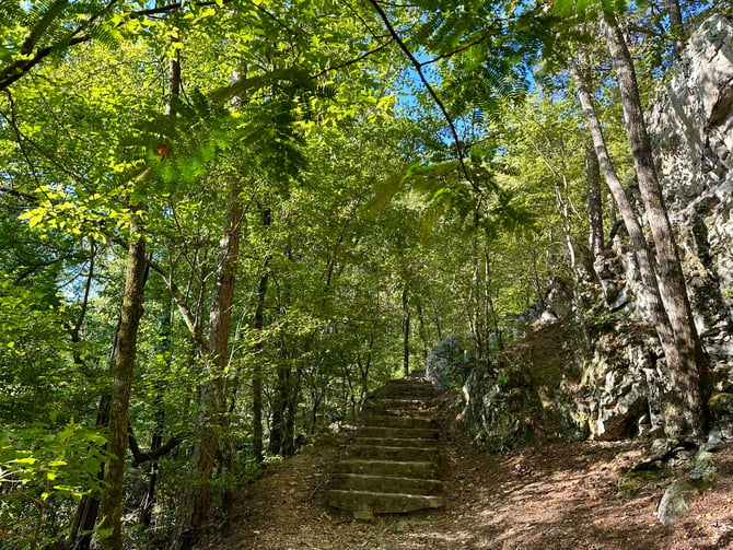 Stone steps up a shaded Arkansas forest trail with rocky outcrops